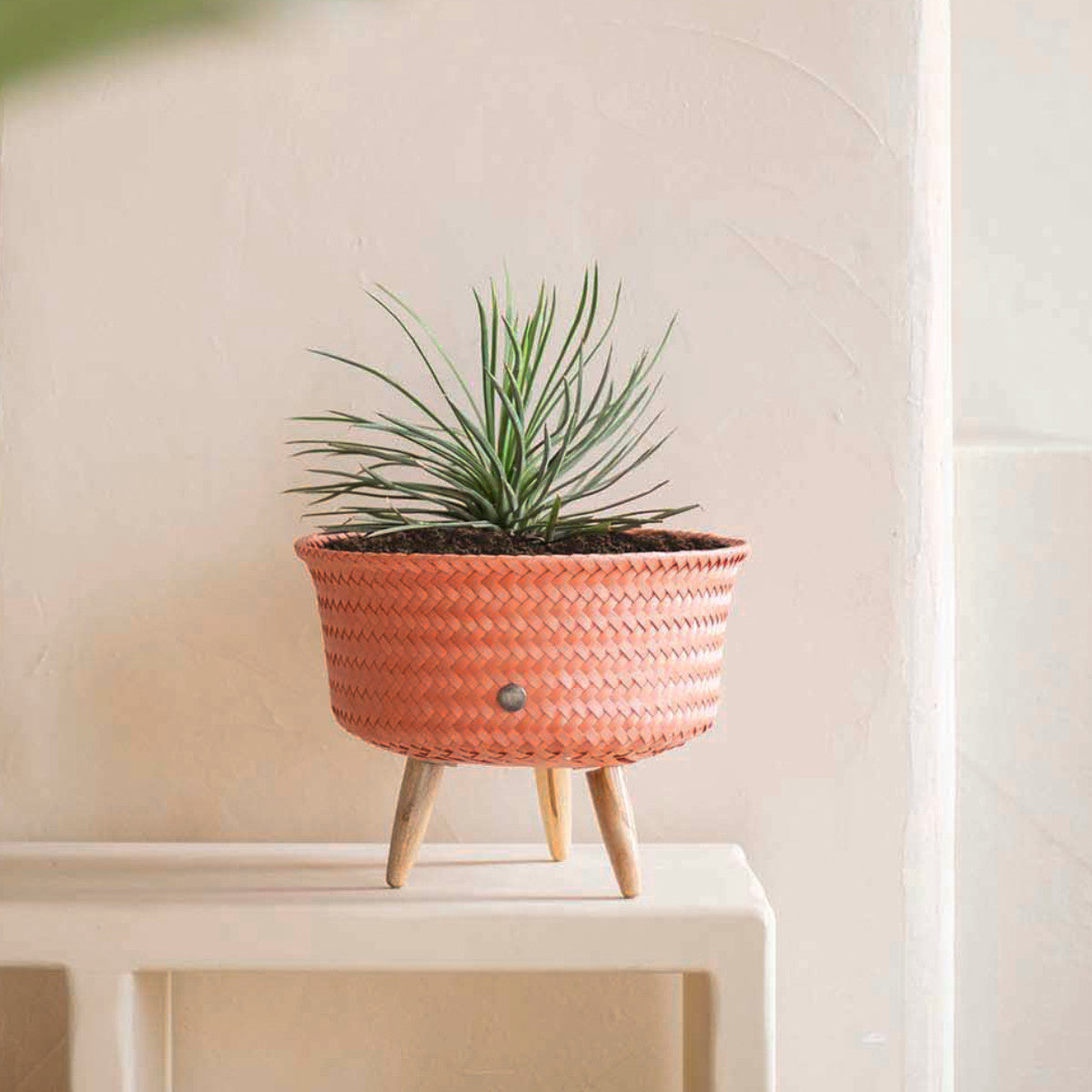 プランターカバーアップ ロー(UPLOW)