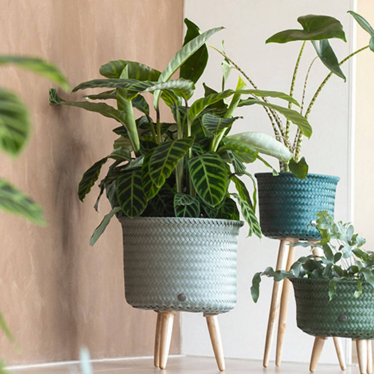 プランターカバーアップ ミッド(UPMID)